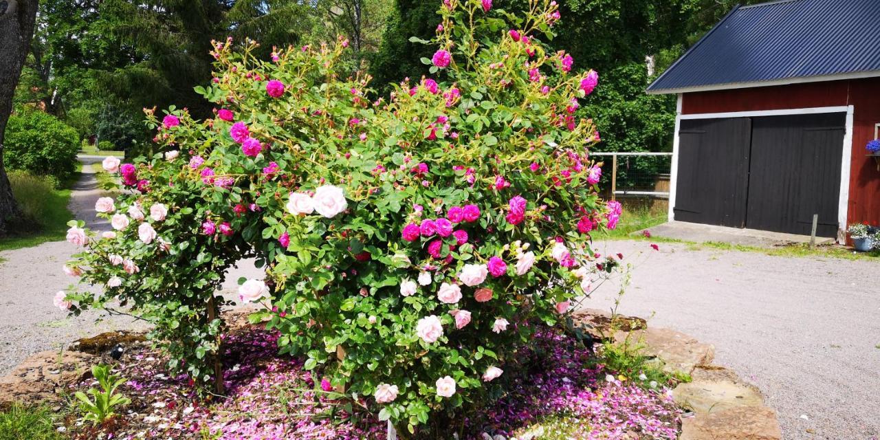 Kinne-Vedum Bed And Breakfast Gotene Bagian luar foto