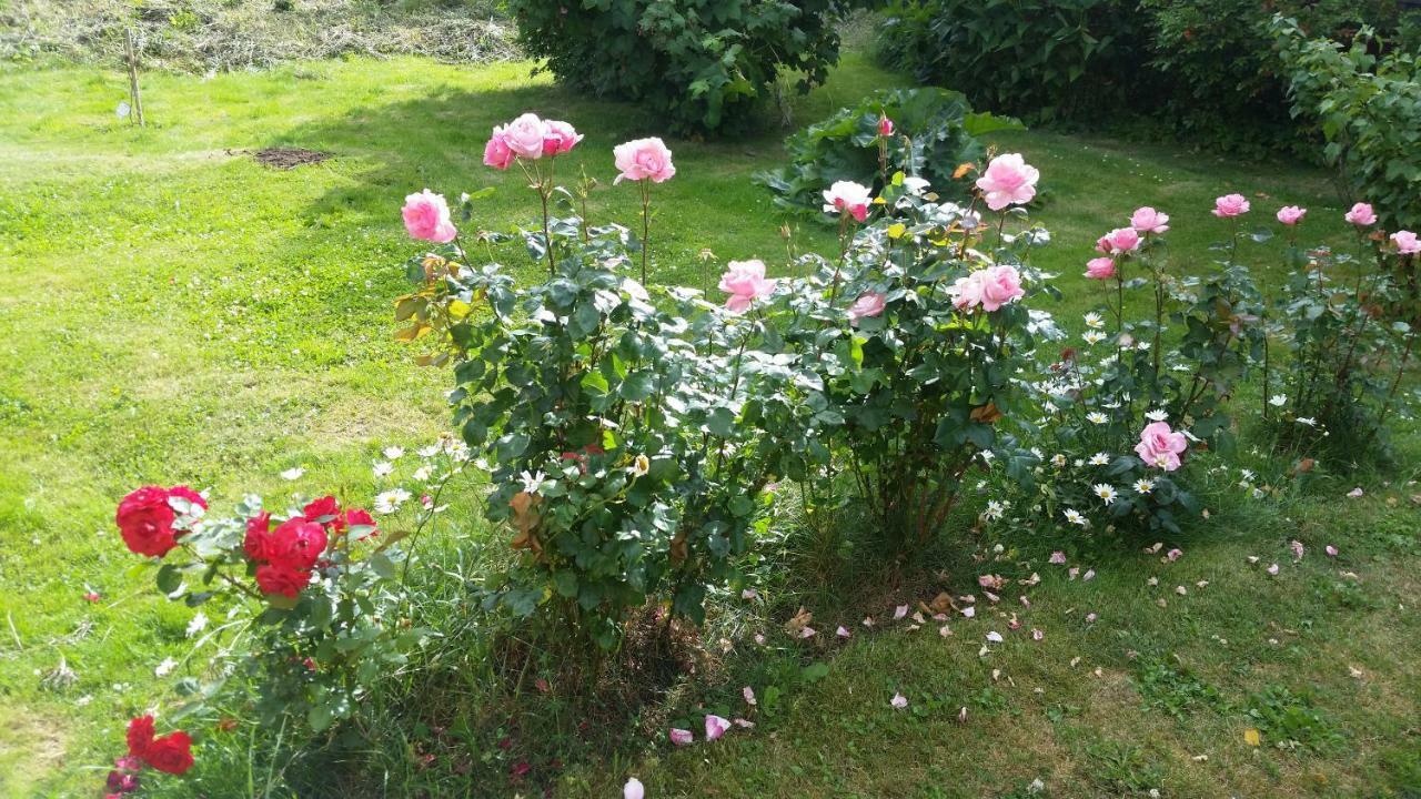 Kinne-Vedum Bed And Breakfast Gotene Bagian luar foto